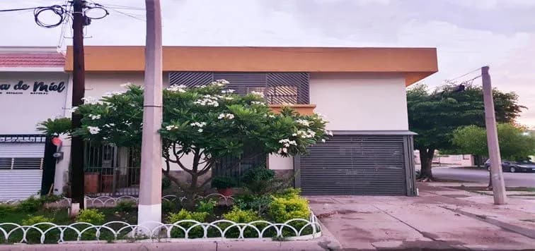 Galería 2