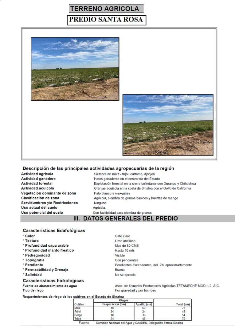 Galería 4