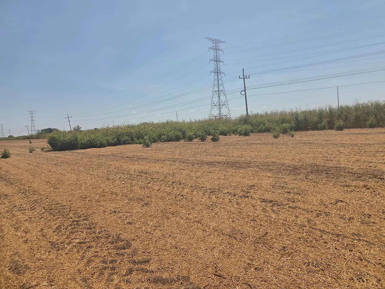 Terreno Agricola Industrial en Venta